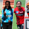 Female Cricket Guest Post - FemaleCricket.com