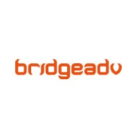 Guest Post - Bridgeadv.net