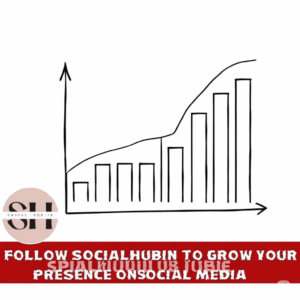 Guest Post - SocialHubIn.com