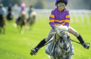 Guest Post - HipposTurf.com