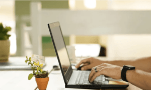Guest Post - MinarikPMU.com