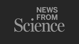 Guest Post - Germanic.news