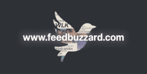Guest Post - Feed-Buzzard.com