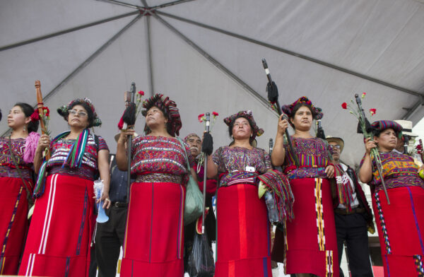 Link Insertion - IPSNews.net