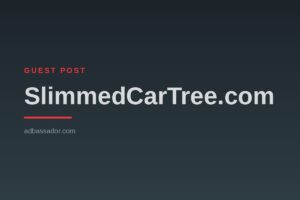 Guest Post - SlimmedCarTree.com (Women's Fitness)